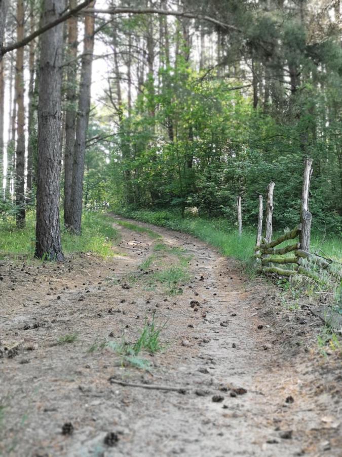 Polne Zacisze Pension Lgin Buitenkant foto